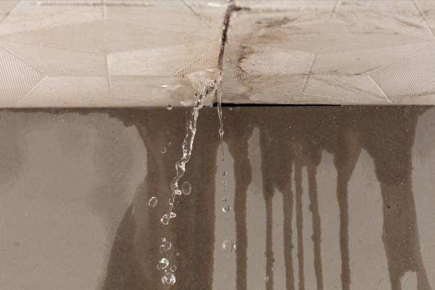 Professional Structural Drying technician working in Bunola, PA
